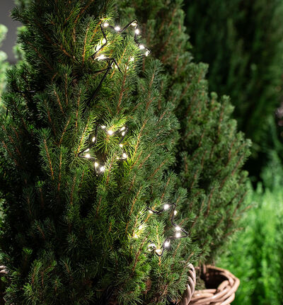 LED stjerne på pinne 28 cm LED stjerne på pinne 28 cm